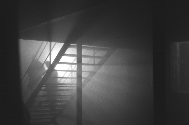 13 KAHN & NEEK, Fuchs2